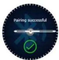 Allview Hybrid S - Conectividad y emparejamiento del reloj inteligente Allview Hybrid S/T - 4