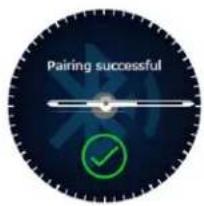 Allview Hybrid S - Verbindung und Paarung der Allview Hybrid S / T-Smartwatch - 4