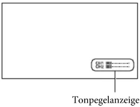 SONY HXR-NX70P - Tonpegelanzeige - 2
