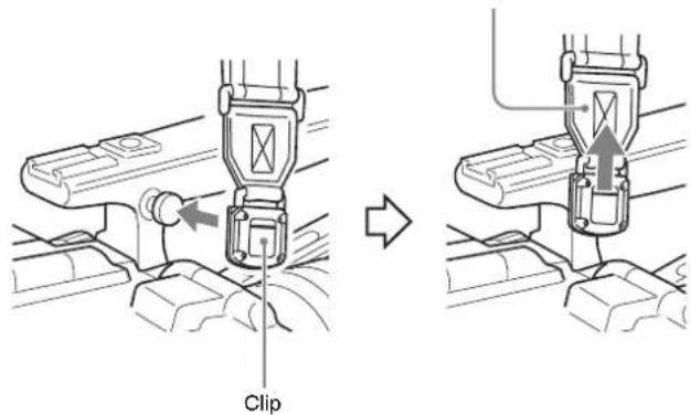 Clip