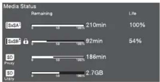 SONY PXW-X500 - Statusbildschirm „Video Output“ - 3
