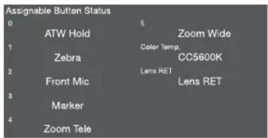 SONY PXW-X500 - Statusbildschirm „Video Output“ - 1