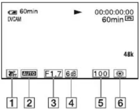 SONY DSR-PD175P - Anzeigen der Aufnahmedaten (Datencode) - 1