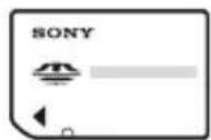 SONY DSR-PD175P - Für diesen Camcorder geeignete „Memory Stick“-Typen - 1