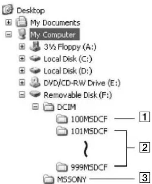 SONY DSR-PD175P - Bei Windows - 1