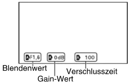 SONY DSR-PD175P - KAM.DAT.ANZ. (Anzeige der Kameradaten) - 1