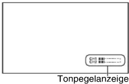 SONY DSR-PD175P - TONPEGELANZ. (Tonpegelanzeige) - 1