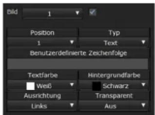 SONY SRG-301SE - Registerkarte Einblenden - 1