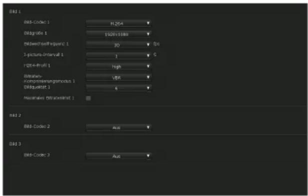 SONY SRG-301SE - Registerkarte Video-Codec - 1