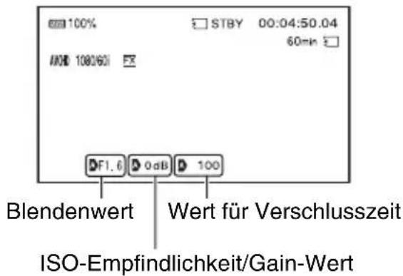 SONY PXW-FS5M2K - Menü (DISPLAY SET) (Fortsetzung) - 1