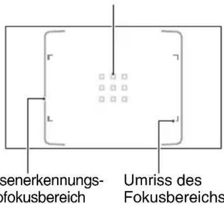 Sensorerkennungs- Fokusbereich Umriss des Fokusbereichs