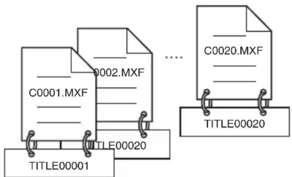 C0001.MXF C0002.MXF TITLE00020 TITLE00001 C0020.MXF TITLE00020