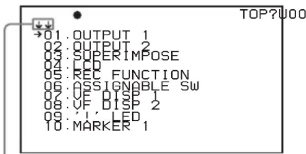 01.OUTPUT 1 02.OUTPUT 2 03.SUPER IMPOSE 04.LCD 05.REC FUNCTION 06.ASSIGNABLE SW 07.VF DISP 1 08.VF DISP 2 09.'I, LED 10.MARKER 1 TOP?U00