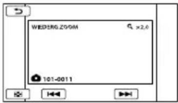 WEDERG ZOOM x2.0 101-0011