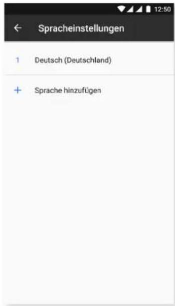 bq Aquaris V Plus - SPRACHE UND TEXTEINGABE - 2