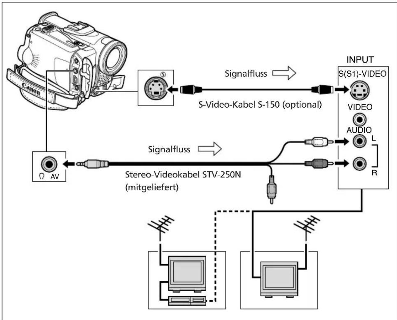 CANON MVX250i - Fernsehgeräte mit S-(S1)-Videoeingangsbuchse - 1