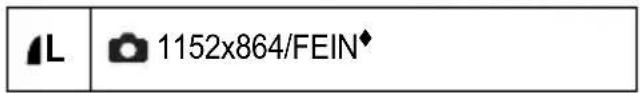 L 1152x864/FEIN♦