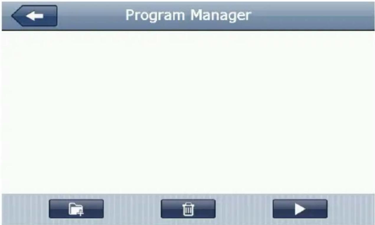 Program Manager
