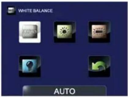 TOSHIBA Camileo B10 - Balance de blancos - 5