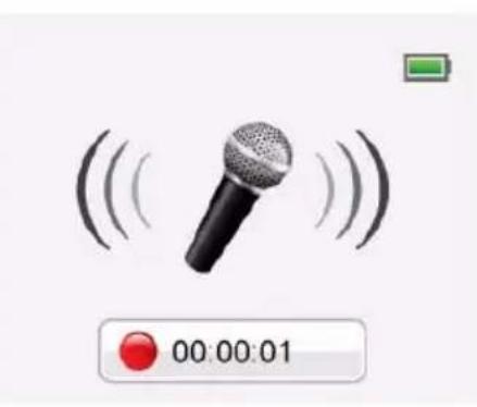 TOSHIBA Camileo CLIP - Voice recording - 3