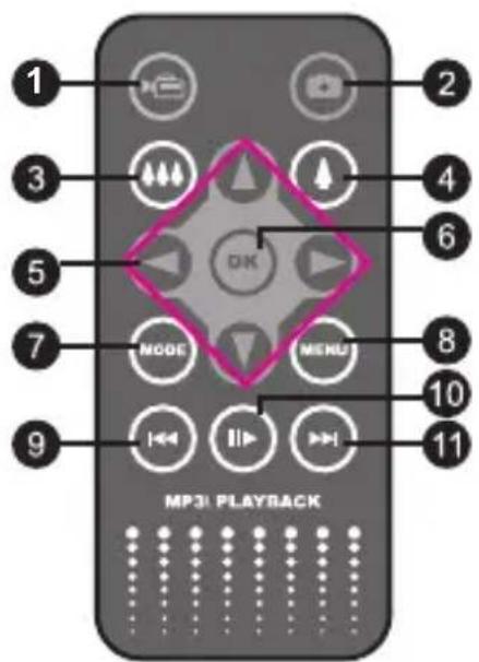 MP31 PLAYBACK