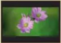 TOSHIBA Camileo Pro HD - Yakınlaştırma: - 2