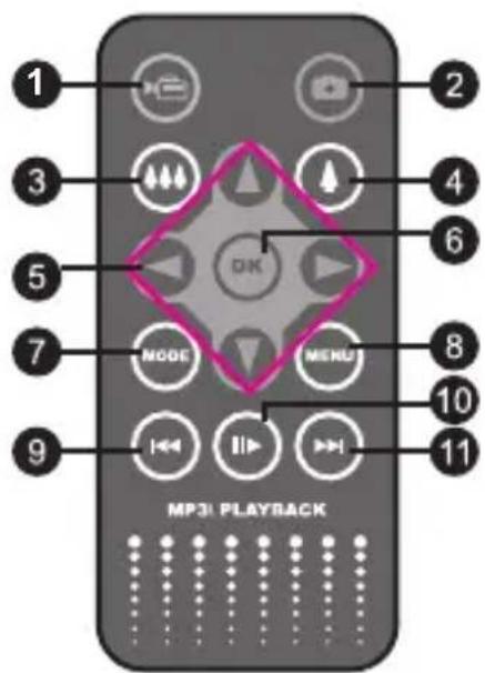 MP31 PLAYBACK