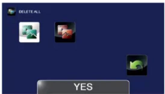 DELETE ALL YES
