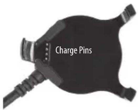 Charge Pins