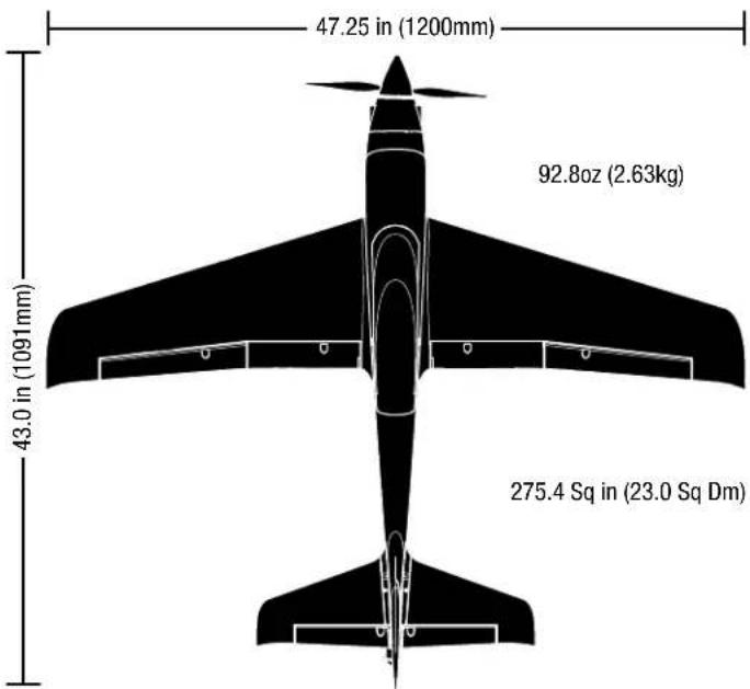 E-flite V1200 - Safety Precautions and Warnings - 3