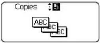 BROTHER P-Touch PT-H300 - Using Block Layouts - 5