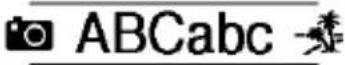 BROTHER P-Touch PT-H300 - Setting Label Attributes - 67