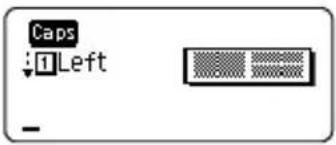 BROTHER P-Touch PT-H300 - Using Block Layouts - 3
