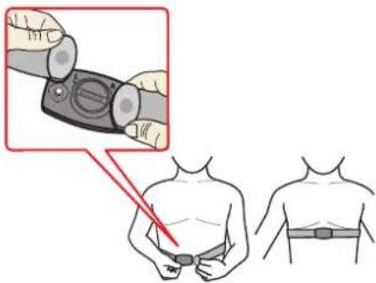 Medical illustration showing a hand holding a device with a magnified view of the device, alongside a close-up of human torso and belt.