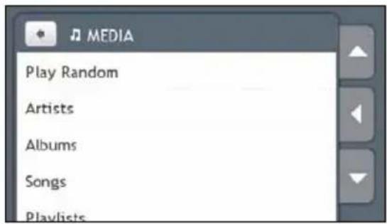 MEDIA Play Random Artists Albums Songs Playlists