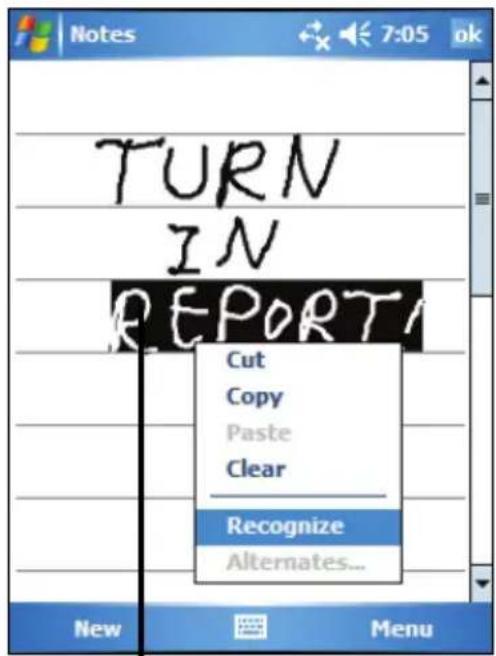 Turn IN REPORT Cut Copy Paste Clear Recognize Alternates... New Menu