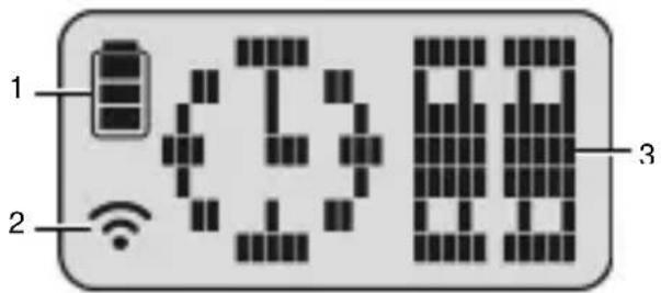 HP LC100W - Información de la pantalla LCM - 1