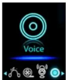 Voice