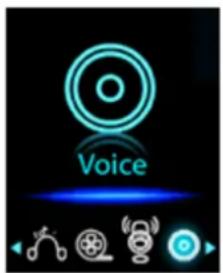 Voice