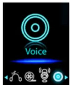 Voice