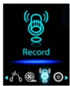 Record