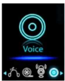 Voice