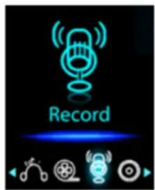 Record