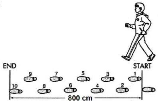 END 10 9 8 7 6 5 4 3 2 1 START 800 cm