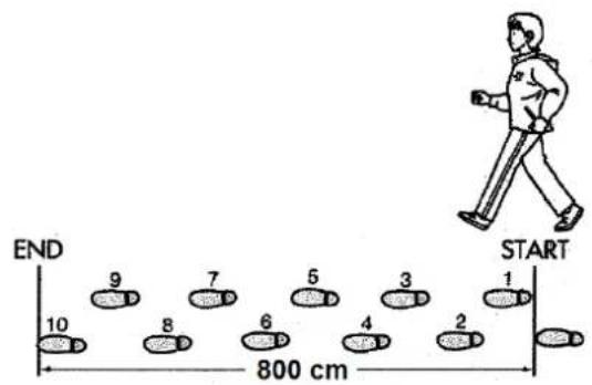 END 10 9 8 7 6 5 4 3 2 1 START 800 cm