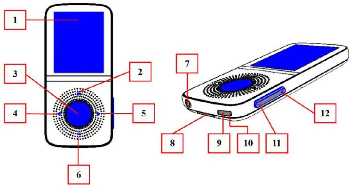 1 2 3 4 5 6 7 8 9 10 11 12