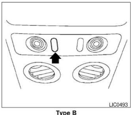 Type B LIC0493