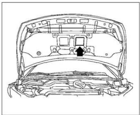 NISSAN Quest (2005) - VEHICLE IDENTIFICATION - 5