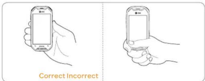 Correct Incorrect