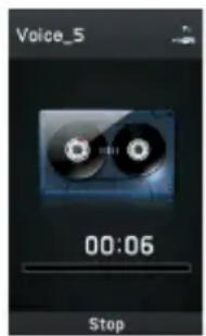 Voice_5 00:06 Stop
